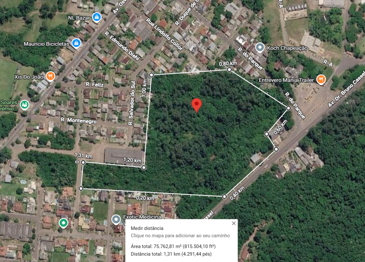 ÁREA DE 86.458,00M² NO BAIRRO VILA RICA EM SÃO SEBASTIÃO DO CAÍ/RS